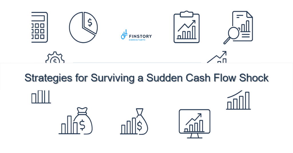feature from base strategies for surviving a sudden cash flow shock
